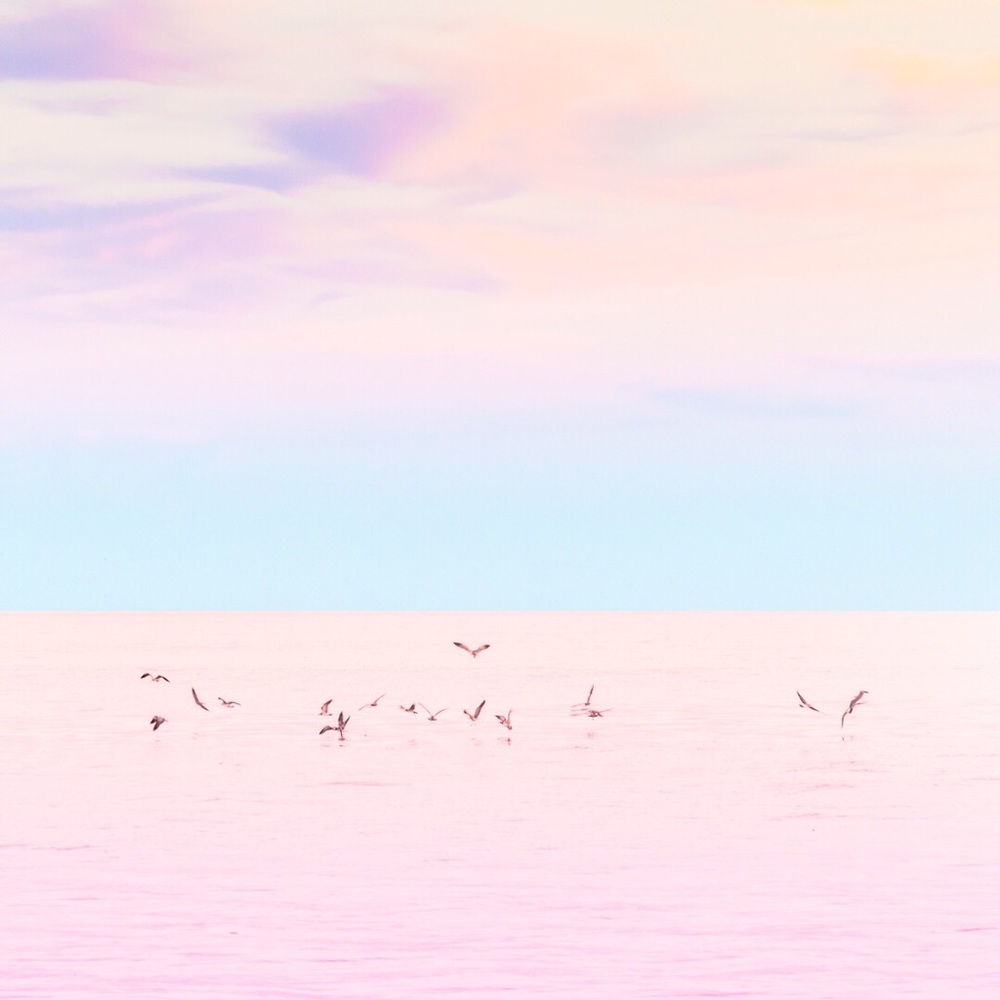 Meet your Posher, Aaila